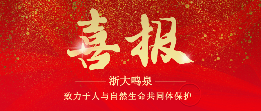 浙大完美online(中国)顺利通过安全生产标准化三级企业验收复审